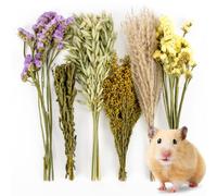 Sukh 42Pcs Herb Bedding Habitat Decor - Natural Flower Hamster Mate Herbs Sprays Cage Safe Pet Accessories Decorations Hideout for Hamsters Mouse Guinea Pig Dwarf Gerbils Syrian Mice