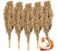 Sukh Natural Hamster Sprays - 5pcs Natural Sun-Dried Red Sorghum Grain,Flower & Herb Grain Stalks for Cage Habitat Bedding Decor for Dwarf Syrian Hamsters,Gerbils,Mice,Cockatiels