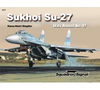 Sukhoi Su-27 Flanker - Walk Around No. 47