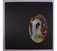 Sula Bassana - Dreamer (10th Anniversary) [Vinyl LP] [VINYL]