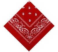 sularpek Paisley Bandana, Stylish Cowboy Headband Handkerchief, Premium Stylish & Versatile Bandana, Bandanas for Outdoor Adventures Perfect for Cycling, Hiking, Running, Yoga, Motorcycling, and More