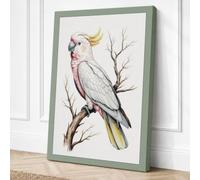 Sulphur Crested Cockatoo Canvas Wall Art Print 18x12 Inch