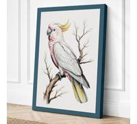 Sulphur Crested Cockatoo Canvas Wall Art Print 18x12 Inch