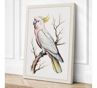 Sulphur Crested Cockatoo Canvas Wall Art Print 30x20 Inch