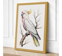 Sulphur Crested Cockatoo Canvas Wall Art Print 30x20 Inch