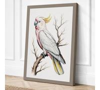 Sulphur Crested Cockatoo Canvas Wall Art Print 36x24 Inch