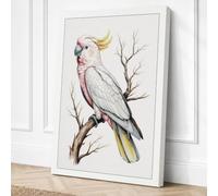 Sulphur Crested Cockatoo Canvas Wall Art Print 36x24 Inch