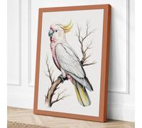 Sulphur Crested Cockatoo Canvas Wall Art Print 36x24 Inch