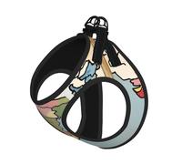 Sultanate Of Delhi Map01 Print Harness Leash Set For Cat And Small Dog, Adjustable, Reflective, And Escape-Proof Vest With Soft Breathable Mesh Lining