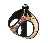 Sultanate Of Delhi Position Flag Map Print Harness Leash Set For Cat And Small Dog, Adjustable, Reflective, And Escape-Proof Vest With Soft Breathable Mesh Lining