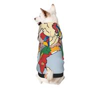 Sultanate Of Delhi Territory Map Print Small Dogs Warm Hoodie, Soft And Breathable Sweatshirt, Easy To Wear Jumper For Winter And Fall, Cold Weather Hooded Coat Pullover