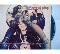 Sultans Of Ping - Teenage Punks