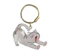 Sulxyi Pet Keepsake Box, Dog Hair Keyring, Memorial Acrylic Clear Pendant Key Chain for Men Charm Purse Collection Backpack Women Bag