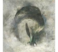 SUMA: ASHES (20TH ANNIVERSARY EDITION) - CD BRAND NEW