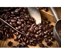 Sumatran Coffee Beans | Premium Arabica | Rich, Earthy & Fruity Medium Roast | Available in 500g to 10kg Packs (1, Kg)