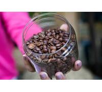 Sumatran Coffee Beans | Premium Arabica | Rich, Earthy & Fruity Medium Roast | Available in 500g to 10kg Packs (2, Kg)