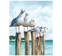 SUMGAR Seagull Paint by Numbers for Adults Beginner, 16x20in, Without Frame
