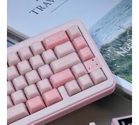 Sumgsn 164 Keys PBT Doubleshot Keycaps Cherry Profile Sakura Pink Translucent Keycaps Set Fit for 61/64/87/104/108 Cherry Mx Switches Mechanical Keyboard