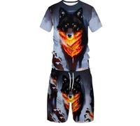 Summer Animal Wolf 3D Printed Short Sleeved Shorts Set, Casual Street Sports Men's and Women's Set (3XL,2)