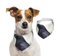 Summer Bandanas for Dogs Black Crow Dog Bandanas Washable Adjustable Dog Triangle Scarf Bibs Cute Pet Bibs for Medium Large Dogs Puppy and Cats Large