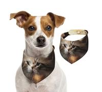 Summer Bandanas for Dogs Cat Kiss Dog Bandanas Washable Adjustable Dog Triangle Scarf Bibs Cute Pet Bibs for Medium Large Dogs Puppy and Cats Large