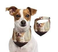 Summer Bandanas for Dogs Cute Corgi Dog Bandanas Washable Adjustable Dog Triangle Scarf Bibs Cute Pet Bibs for Medium Large Dogs Puppy and Cats Small