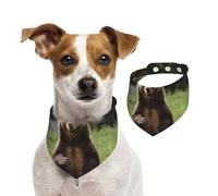 Summer Bandanas for Dogs Hi Bear Sit On The Lawn Dog Bandanas Washable Adjustable Dog Triangle Scarf Bibs Cute Pet Bibs for Medium Large Dogs Puppy and Cats Large