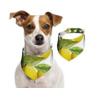 Summer Bandanas for Dogs Lemon Branch Leaves Dog Bandanas Washable Adjustable Dog Triangle Scarf Bibs Cute Pet Bibs for Medium Large Dogs Puppy and Cats Medium