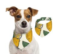 Summer Bandanas for Dogs Lemon Fruit Pattern Dog Bandanas Washable Adjustable Dog Triangle Scarf Bibs Cute Pet Bibs for Medium Large Dogs Puppy and Cats Small