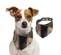 Summer Bandanas for Dogs Old Ancient Outhouse Dog Bandanas Washable Adjustable Dog Triangle Scarf Bibs Cute Pet Bibs for Medium Large Dogs Puppy and Cats Large