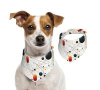 Summer Bandanas for Dogs Physics Print Dog Bandanas Washable Adjustable Dog Triangle Scarf Bibs Cute Pet Bibs for Medium Large Dogs Puppy and Cats Medium