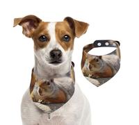 Summer Bandanas for Dogs Squirrel Just Laying Dog Bandanas Washable Adjustable Dog Triangle Scarf Bibs Cute Pet Bibs for Medium Large Dogs Puppy and Cats Large