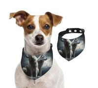 Summer Bandanas for Dogs Wolf at Night Dog Bandanas Washable Adjustable Dog Triangle Scarf Bibs Cute Pet Bibs for Medium Large Dogs Puppy and Cats Large