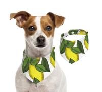 Summer Bandanas for Dogs Yellow Fresh Lemons Dog Bandanas Washable Adjustable Dog Triangle Scarf Bibs Cute Pet Bibs for Medium Large Dogs Puppy and Cats Large