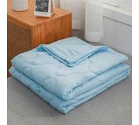 Summer Coverless Duvet Single Double Super King Size Washable Soft Lightweight 2.5 Tog Coverless Duvet Simple Solid Color Bedroom Cool Bedspreads Living Room Quilted Blanket (Blue,180x200cm)