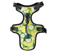 Summer Cucumber Lemon White Reflective Vests for Dogs for German Shepherd Night Walking Waterproof Dog Vest for Walking Chaleco para perro