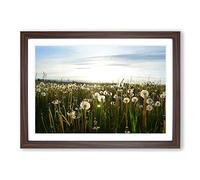 Summer Dandelion Landscape Framed Print | A2 Walnut Framed Wall Art | Ready to Hang | Modern Landscape Picture | Living Room Bedroom Lounge Office