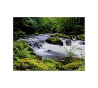 Summer day in Bodetal near Thale in the Harz，Jigsaw Puzzle Adults Kids Children's Educational Toy Personalized Gift（38x26cm）-AV56