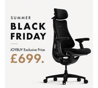 【Summer Deals-Get 20% off when you checkout with Code：LB001】Libernovo Omni Dynamic Ergonomic Chair Midnight Black 48cm 1pcs