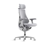 【Summer Deals-Get 20% off when you checkout with Code：LB001】Libernovo Omni Dynamic Ergonomic Chair Space Grey 48cm 1pcs