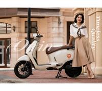 [Summer Deals - with Next-Day Delivery] YADEA OWIN E-Moped - Desert Grey - L1e-B (50cc equivalent) 28 mph, 50 mi Range, 2800W , 1 x Removable 72V 30Ah LFP, Anti-theft & Smart App Control & Waterproof