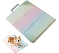 Summer Dog Cooling Mat, Dog Cooling Mat with Self Cooling Gel, Portable Three-Fold Design, Reversible Ice Silk Pet Cooling Pad, Scratch-Resistant Leakproof Mat for Dogs and Cats (Rainbow, L)