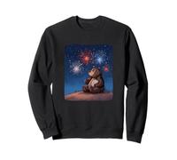Summer Firework with Cool Bear Costume for Man and Woman Sweatshirt
