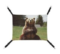 Summer Hi Bear Sit on The Lawn Printed Pet Hammock for Cage Hanging Pet Hammock Bed with Metal Hooks for Guinea Pigs, Hamsters, Gerbils, Kittens, Cat Cages