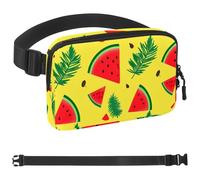 Summer Ice Cream Watermelon-1901 Belt Bag for Men and Women Fanny Pack,Belt Bag with Adjustable Strap,Fashion Crossbody Everywhere Belt Bag for Travel Outdoors Running Hiking, Multicolor,