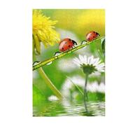 Summer Ladybird Flowers Prints Wooden Jigsaw Puzzle 300-Piece in Plastic Box, 26x38 CM Eco-Friendly Educational Puzzle for Family Fun & Adult Relaxation