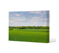 Summer landscape with hilly green field and forest in the distance (Canvas Print) / 127 x 101 x 4cm Benjamin Tate Design Natural One Size