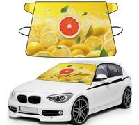Summer Lemon, Car Windshield Cover, Protective Windscreen Cover - Snow Ice Sun UV Dust Water Resistant - Fit for Most Cars