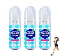 Summer Mist Cooling Spray, Mint Cooling Spray,Instant Relief for Menopause Hot Flushes,For Hot Weather and Portable Refreshment Anywhere Travel Size Cooler Sprays (3)