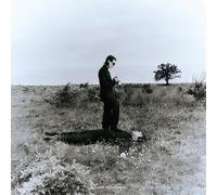 Summer Of Insomnia [VINYL]